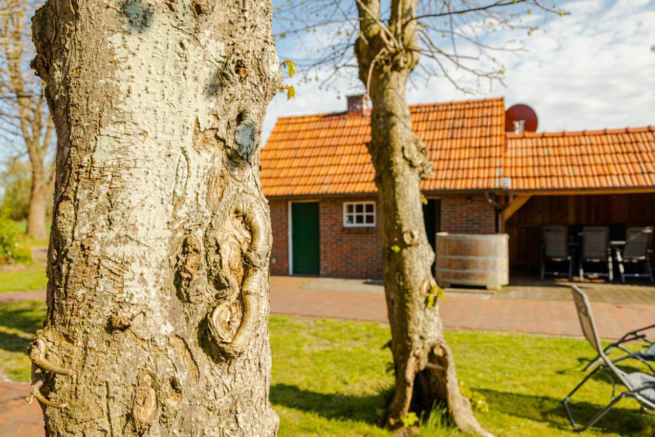 فيلا Reetdach Ostfriesenhaus Südbrookmerland المظهر الخارجي الصورة